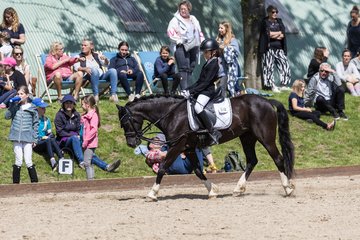Bild 521 - Pony Akademie Turnier
